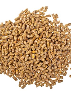 Pelleted compound feed Isolated on white background, wheatfeed pellets